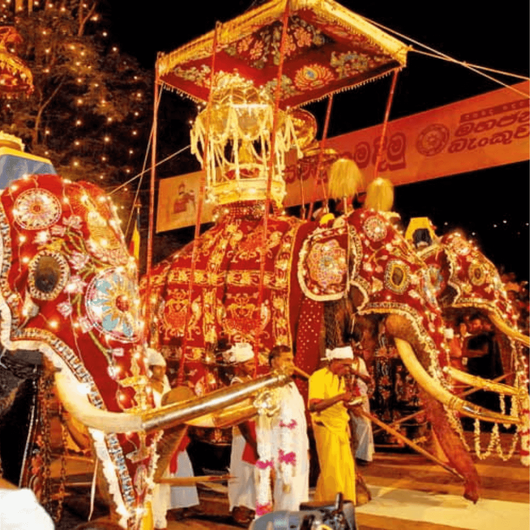 Festival & Events