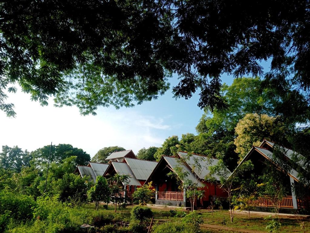 Seeing Green Udawalawa