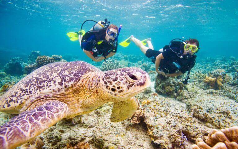 Kalpitiya Diving and Snorkeling Tour