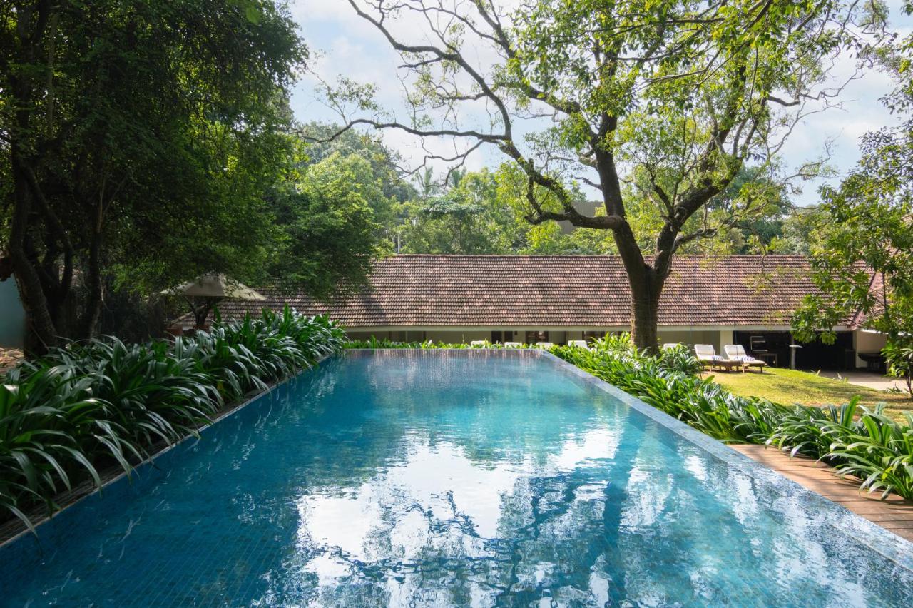 EKHO Sigiriya | 4-Star Hotel Near Sigiriya Rock