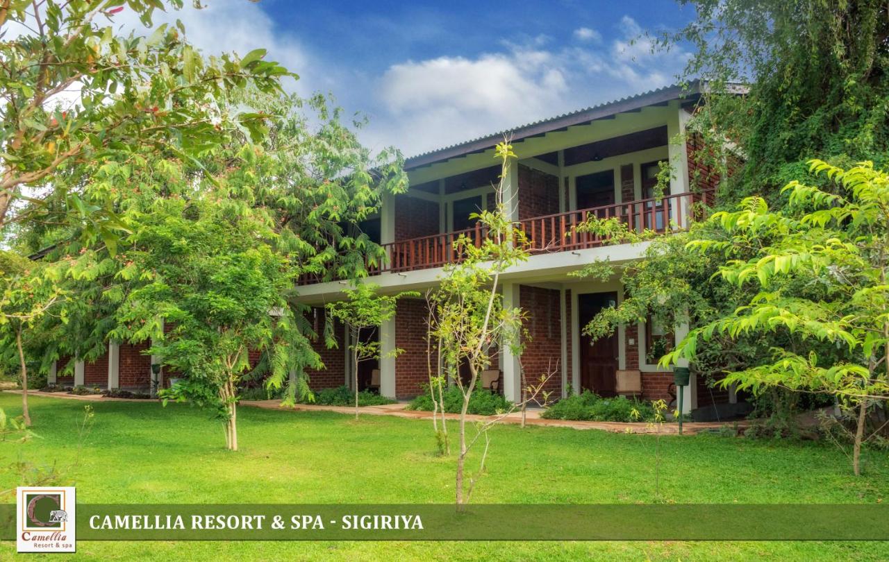 Camellia Resort and Spa, Sigiriya | 4-Star Wellness Stay